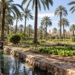 Recreación de una acequia con agua entre palmeras y parcelas cultivadas.